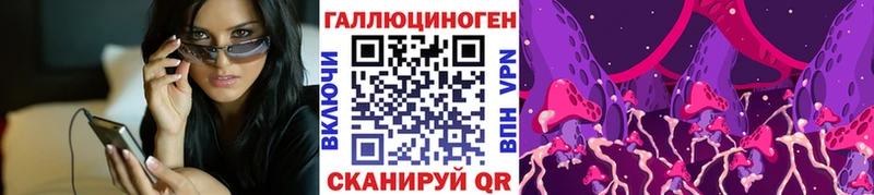 купить наркотик  Моздок  Галлюциногенные грибы Psilocybine cubensis 